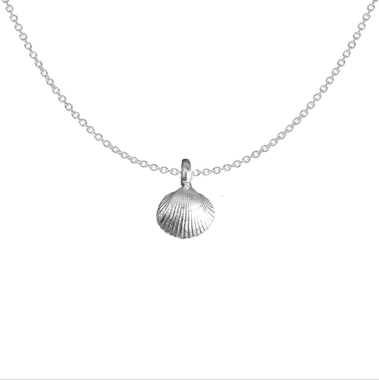 Midi Cleethorpes Cockle Shell Necklace