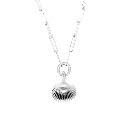 Maxi Cleethorpes Cockle Shell Trace Chain Necklace